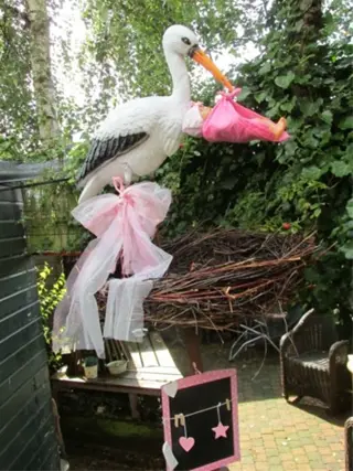 Verhuur van geboorteborden , ooievaar op nest , etc.