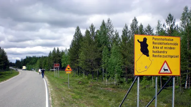 Fly Drive Finland met KLM