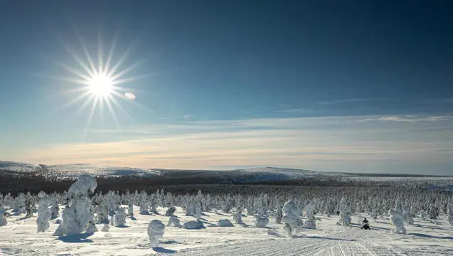 Kieppi Wilderness hotel winteravontuur