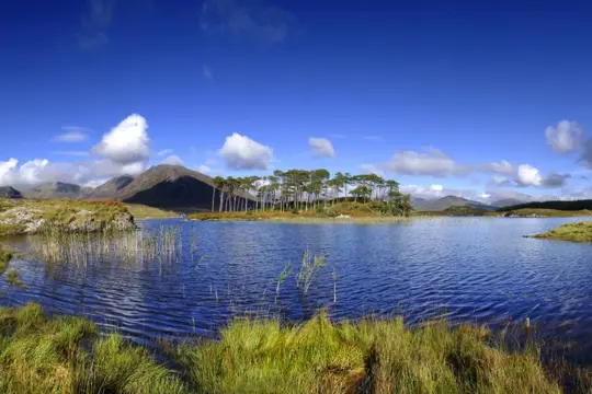 Westkust & Dublin - combinatie van stad en natuur