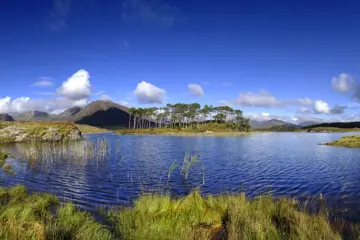 Westkust & Dublin - combinatie van stad en natuur