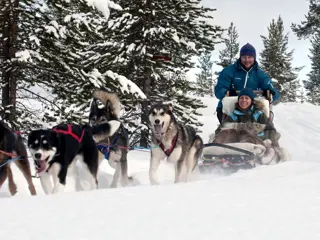 Lange huskysafari Trysil - 2 uur