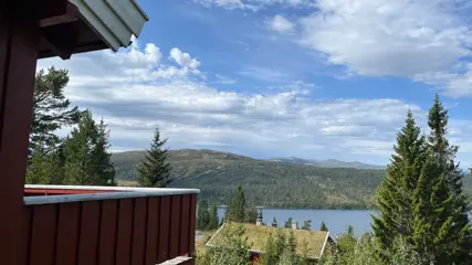Autorondreis langs de fjorden en de bergen