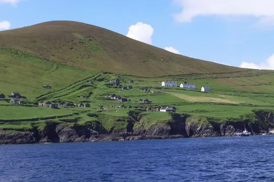 Dingle Sea Safari - Dingle