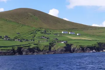 Dingle Sea Safari - Dingle