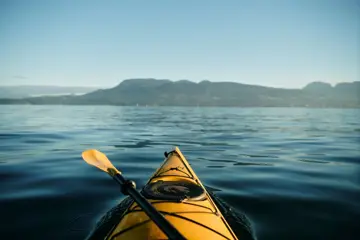 Wildlife Reis Canada | Whales, Grizzlies & Kajakken op Vancouver Island