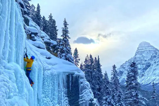 IJsklimmen vanaf Banff