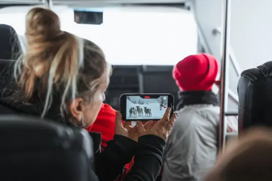 Wildlife Discovery Tour vanuit Jasper