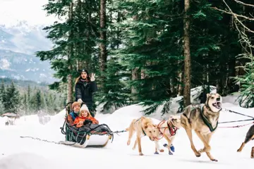 Huskysafari vanuit Whistler