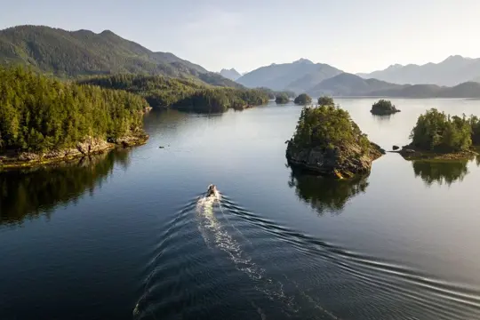 Whale & Bear Safari vanuit Tofino