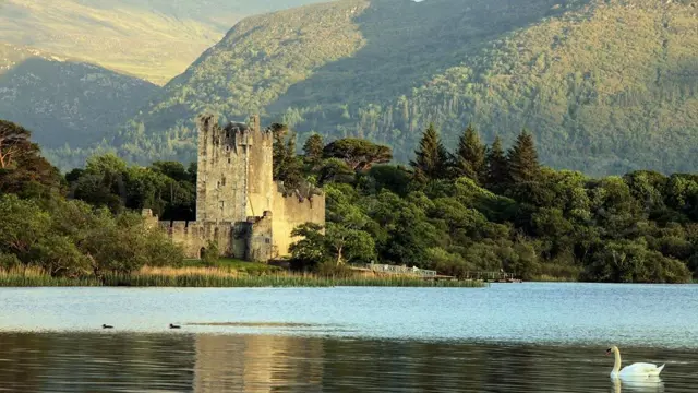 Abbey Lodge B&B - Killarney