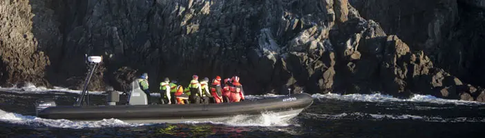 Wildlife Sea Safari incl. Runde vogelreservaat