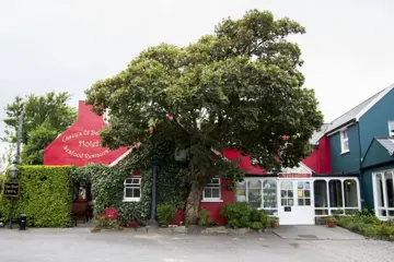 Caseys Of Baltimore Hotel - Baltimore