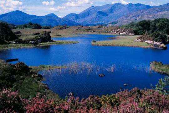 Autorondreis Hoogtepunten van Zuidwest-Ierland - Keuzedeal