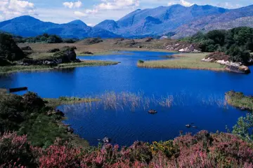 Autorondreis Hoogtepunten van Zuidwest-Ierland - Keuzedeal