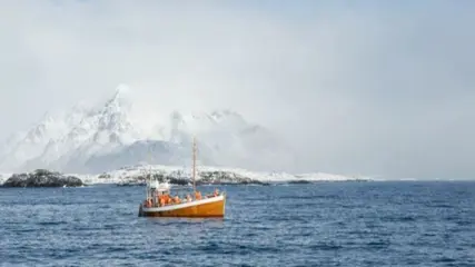 Vistrip Lofoten, Svolvaer