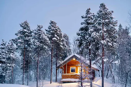 Malangen Langlaufen door besneeuwde bossen