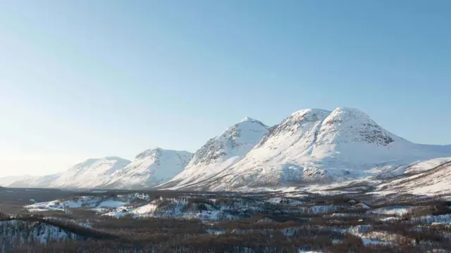 Tromsø Husky Experience met korte huskyrit vanaf kamp Breivikeidet
