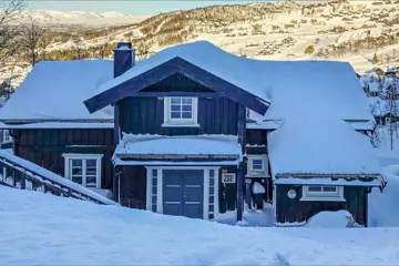 Holtardalen chalet, Rauland