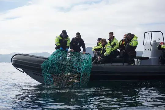 King crab RIB-safari, Honningsvåg