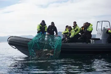 King crab RIB-safari, Honningsvåg