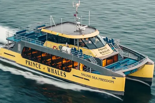 Whale Watching Adventure vanuit Vancouver