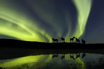 Winters Noord-IJsland, 5 dagen Akureyri (di t/m za)