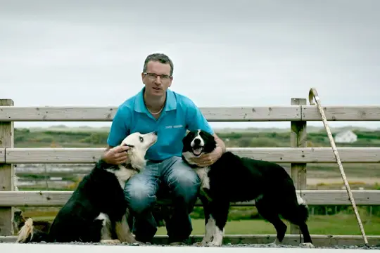 Schaapshond demonstratie Grange