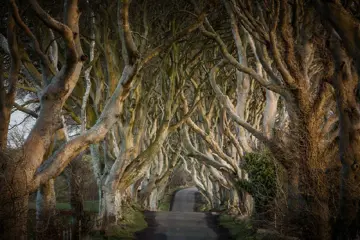 Autorondreis Game Of Thrones Noord-Ierland - Afwisselend verblijf