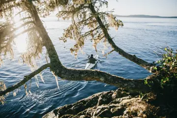 Kajakken bij Meares Island vanuit Tofino