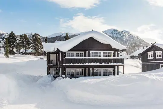 Holtardalen appartementen, Rauland