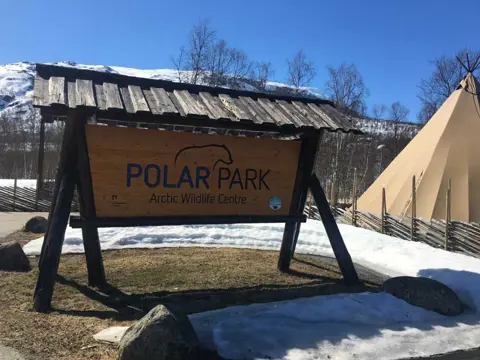 Polar Park inclusief bustransfer van Tromsø en door naar Narvik