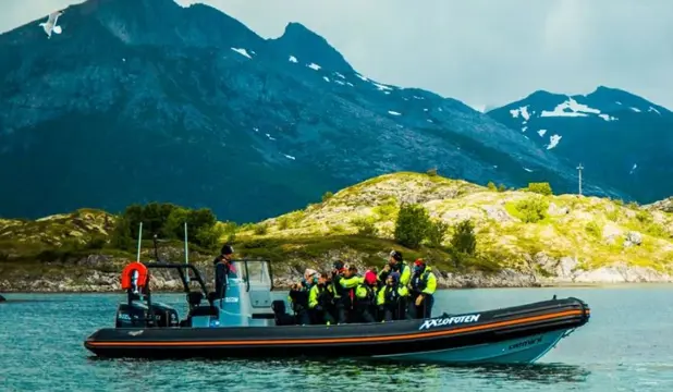 Zeearend- en Trollfjordsafari per RIB-boot, Svolvær
