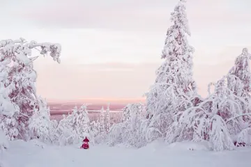 Sneeuwscootertour van Lapland, winteravontuur