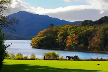 Killarney & Dublin - combinatie van stad en natuur