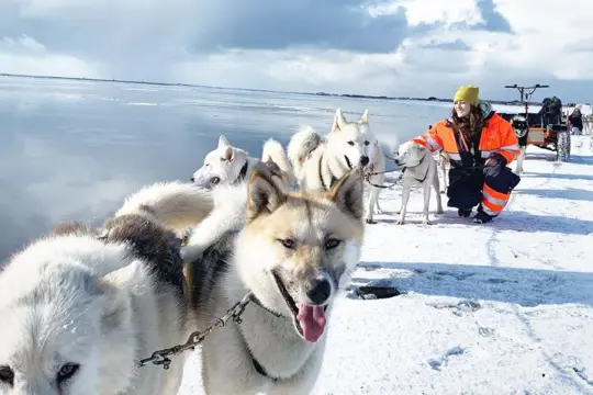 Huskytocht Zuid-IJsland