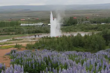 Autorondreis IJsland In Vogelvlucht - hotels
