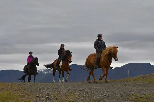Paardrijden vanuit Varmahlid