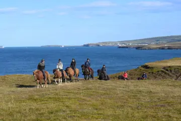 Paardrijden vanuit Husavik
