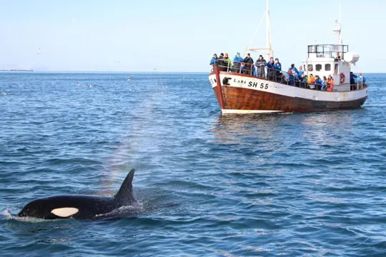 Orka`s & noorderlicht 5 dagen