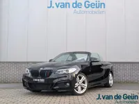 BMW 2-serie Cabrio 220i M Sport | Leder | Camera | Keyless | Navi Prof | Lage kmstand