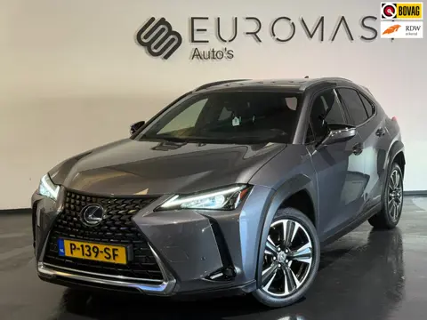 Lexus UX 250h Preference Line Hybrid Camera Cruise Control