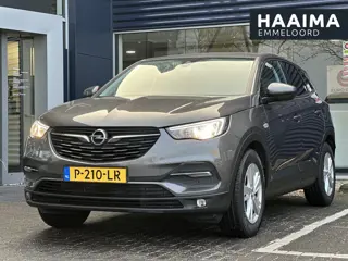 Opel Grandland X 1.2 Turbo Business Executive | Parkeersensoren | Apple Carplay/Android Auto | Clima