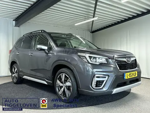 Subaru Forester 2.0i e-BOXER First Edition Automaat | Trekhaak | Leder | Memory