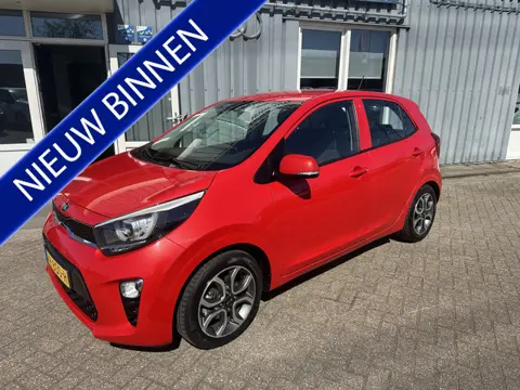 Kia Picanto 1.0 CVVT First Edition nieuwe model (bj 2017)