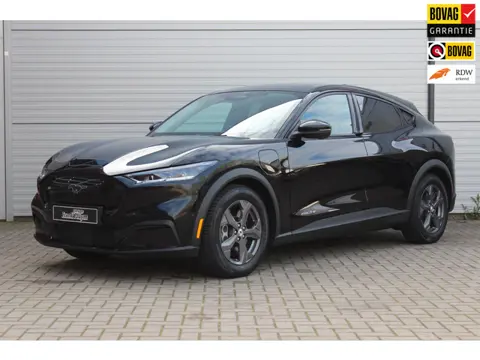 Ford Mustang Mach-E RWD 75 kWh 360Cam/Leder/B&O