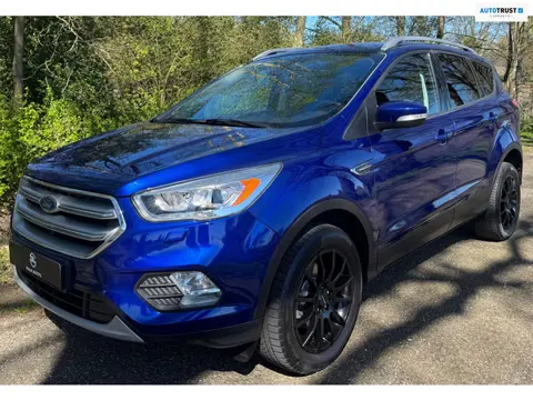 Ford KUGA 1.5 EcoBoost Titanium 2017 150PK NAVI CLIMA APPLE CARPLAY TREKHAAK