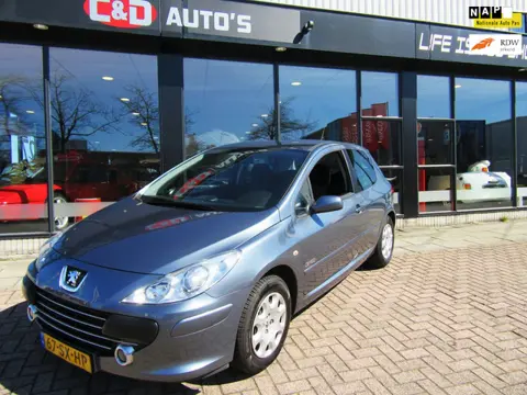Peugeot 307 1.6-16V Oxygo SPORT 2006 86DKM AIRCO ORG NL