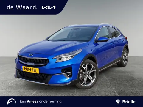 Kia XCeed DynamicPlusLine 1.0 T-GDi 120pk | VERHOOGDE INSTAP | STOEL- EN STUURWIELVERW. | CRUISE CON