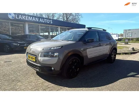 Citroen C4 CACTUS 1.2 PureTech Business Plus Huurkoop Inruil APK Garantie